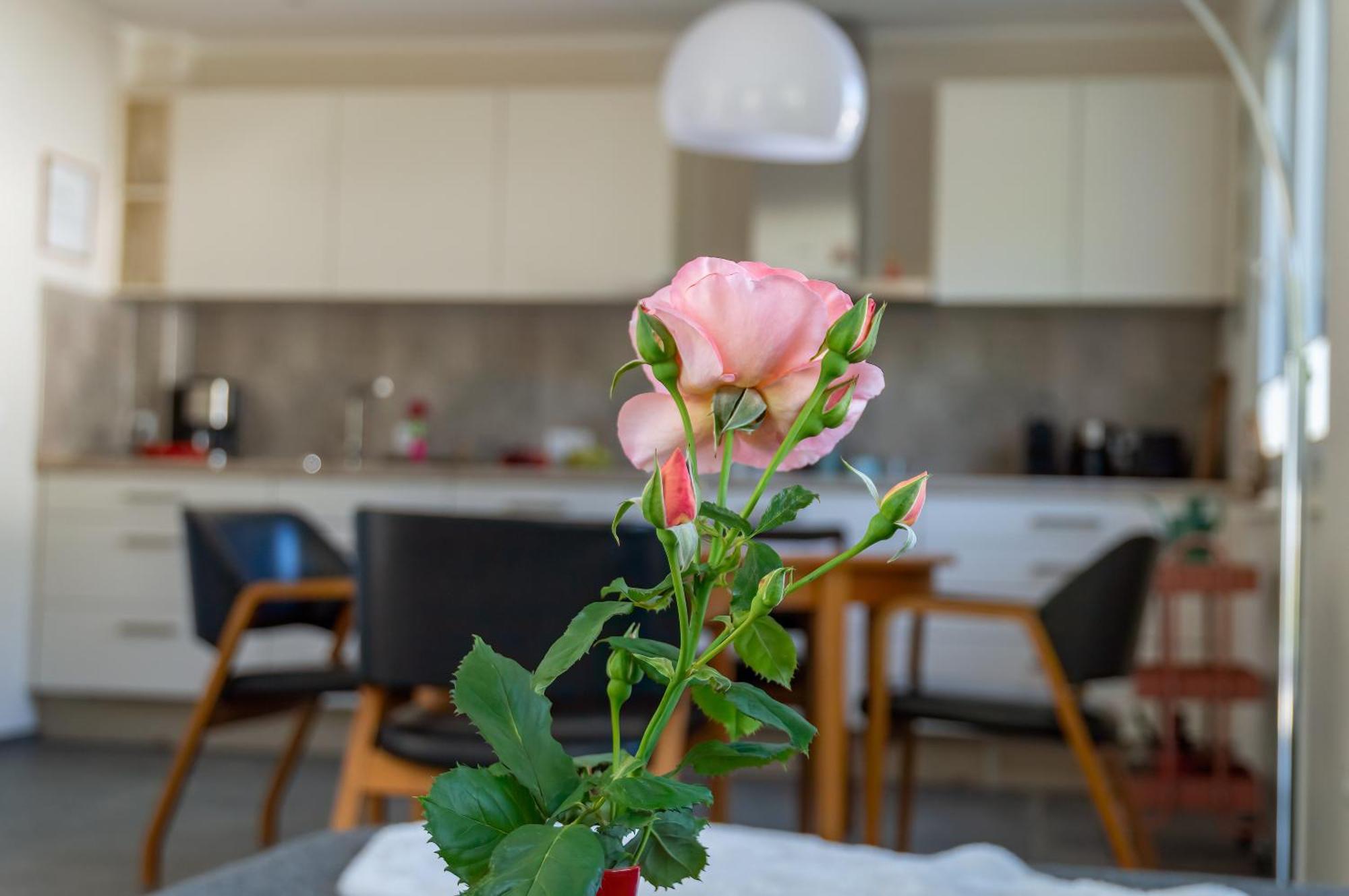 Ferienwohnung Wurzelecht Bad Neuenahr-Ahrweiler Zewnętrze zdjęcie